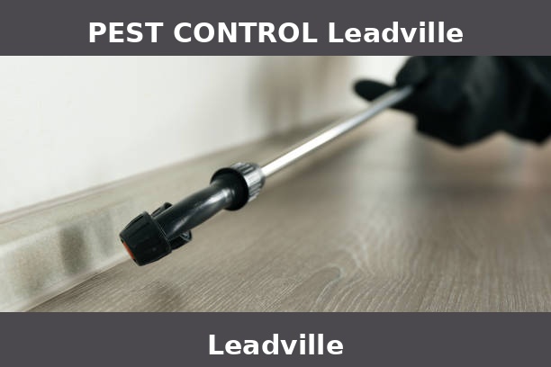PEST CONTROL Leadville
